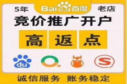 信息流广告的精准定位与效果优化案例分析